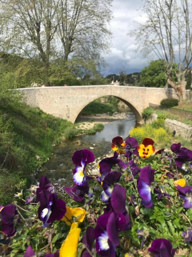 La Calade 1 Bedroom Studio - Biot Village 外观 照片